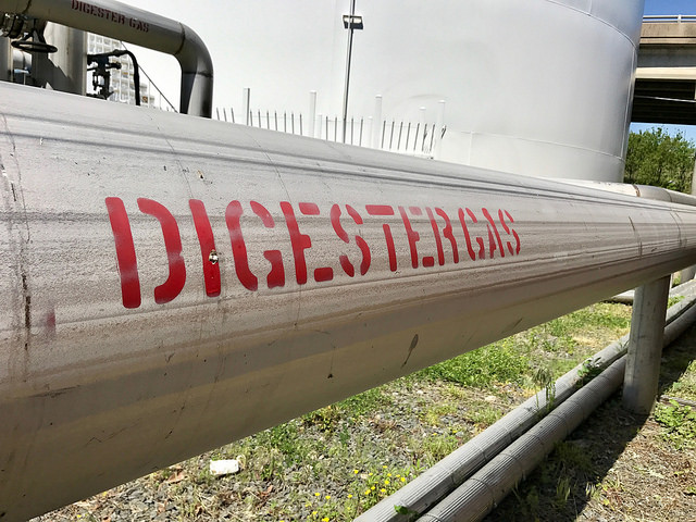 DIGESTER GAS pipe in an anaerobic digester system